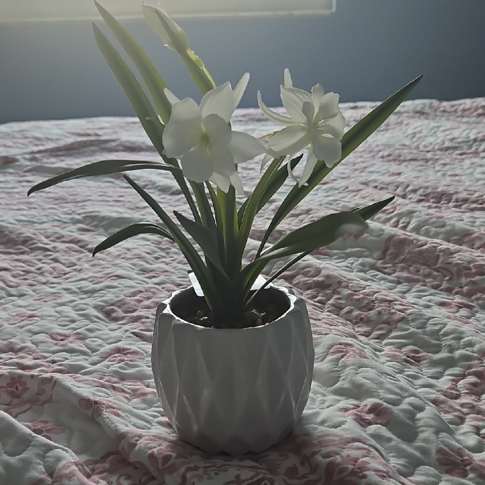 Elegant Faux Flowers in White Planter NWT